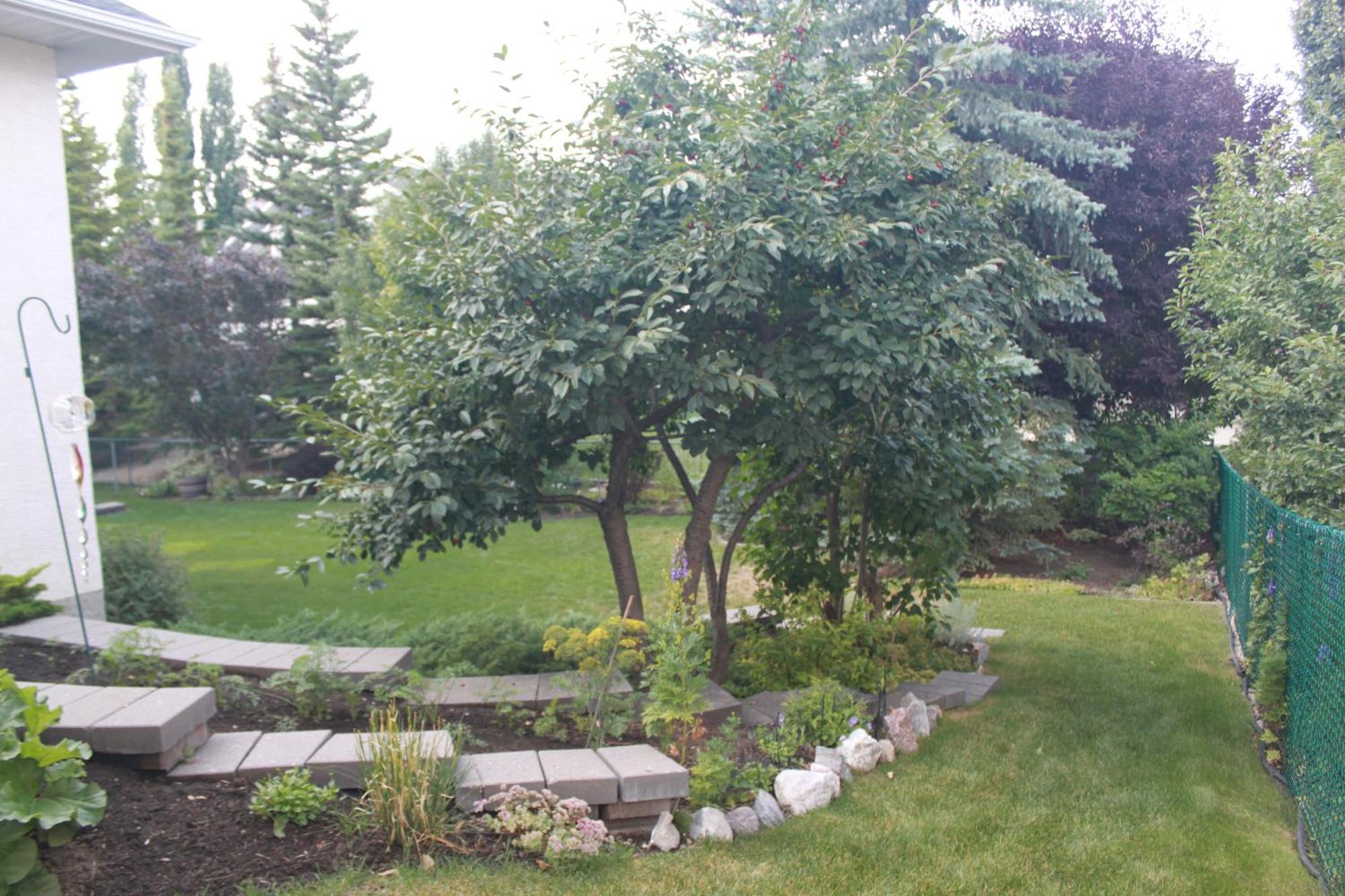 Luxury Bungalow In Nw YYC Eksteriør bilde